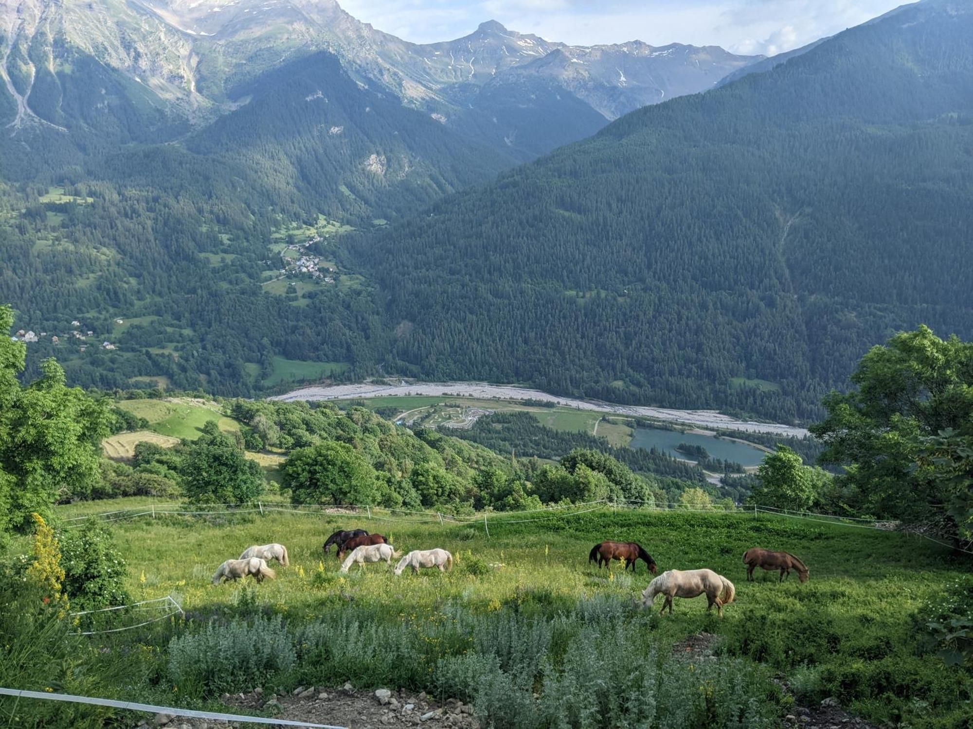 Gite Du Bois De L'Ours Orcières Eksteriør billede